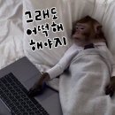 피치모텔 | 2025년 4월 11-20일