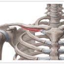 나래한의원 이미지