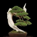 명심보감 이미지