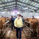 영광축산업협동조합 이미지