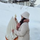 주식회사트리온 | 아이랑 단둘이 여행] 삿포로 비에이 투어 7세 가기 딱 좋은 '소수 정예 눈놀이 투어' 내돈내산 솔직후기