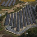 해바라기 태양광발전소 이미지