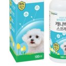 보듬동물병원 네이버블로그