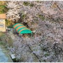 동해황토민박 이미지