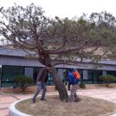 당진솔담요양병원 이미지