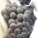 통통과일 - 동래구 사직북로33번길 31 | 통통과일