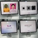 멍멍한끼 | 영등포 퍼스널 컬러 로디 퍼스널 컬러 메이크업 방문 솔직후기 (ft.연진이 퍼스널 컬러) 겨울쿨톤 진단후기