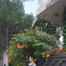 나드리상가 | 종로 나드리