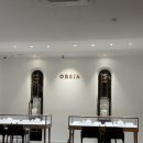 원일빌딩 | W.5-1[웨딩밴드] 청담 결혼반지 오르시아 상담&amp;계약 후기 (내돈내산)