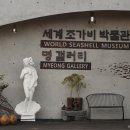 세계조가비박물관 네이버블로그