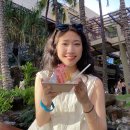 가나자동차정비 | [하와이] 우리의 허니문, 오아후에서 알로하!🌺🌴