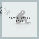 씬스페이스 - 528278 | 씬스페이스