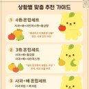 대경과일