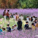 용대1리 이미지