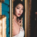 고향누렁소