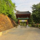 고성장의사