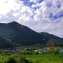 보현산2농장 이미지