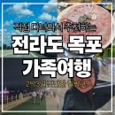 압해 김대중대교 가로수길 | 전라도·목포 2박3일 코스 완전정리｜직접 가보고 추천하는 여행지 TOP5