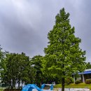 봄내놀이터(Ⅱ)_자연동화&놀이 | 웃다리문화촌