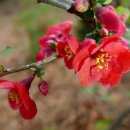 제일부동산중개 이미지