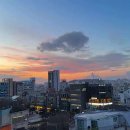 솔스티스피티스튜디오