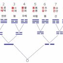 이기동 박사님 주역번역 서문중에서 이미지