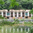 느티골길 이미지