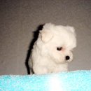 (주)말티 이미지