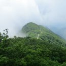 오도산 자연휴양림 이미지