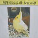 현상수배. 이미지