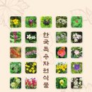 식물도감 이미지