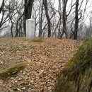 완산-169 Daum카페