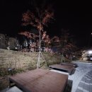 보평근린공원 네이버블로그