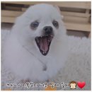 마요주얼리 이미지