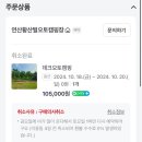 연산황산벌오토캠핑장 이미지