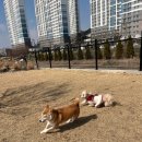 폴앤도기 동남캠퍼스 이미지