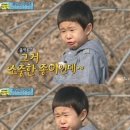 브라더한정식도시락