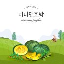 따뜻한디자인 이미지