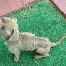 기다리다 이미지