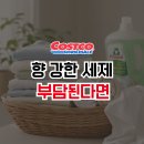 코스트코 프로쉬 알로에베라 세탁세제 후기｜향 강하지 않아 오히려 편했어요