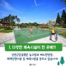 신천체육공원 농구장 이미지