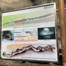 제주 김녕굴 및 만장굴 | [제주도 제주시] 만장굴 - 여름에도 시원한 세계자연유산