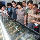 한국명품산삼 이미지