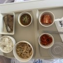 전동정육점 | 길이 2.3cm, 아인병원 쉬로드카 맥수술 후기③｜수술 당일 후기(척추마취·구토·자궁경부 길이 변화...