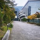 판교 파미어스몰 돈까스 맛집 야미카츠 후기