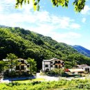 백운면 2049 이미지