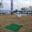 예당 앤 다울 이미지