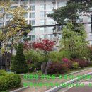 신동아파밀리에아파트 놀이터 이미지