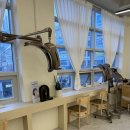 메이에르진 이미지