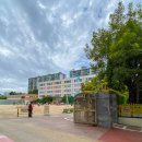 여의도 홍우빌딩 앞 이미지